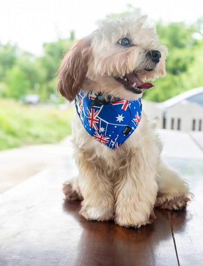 flag dog bandana