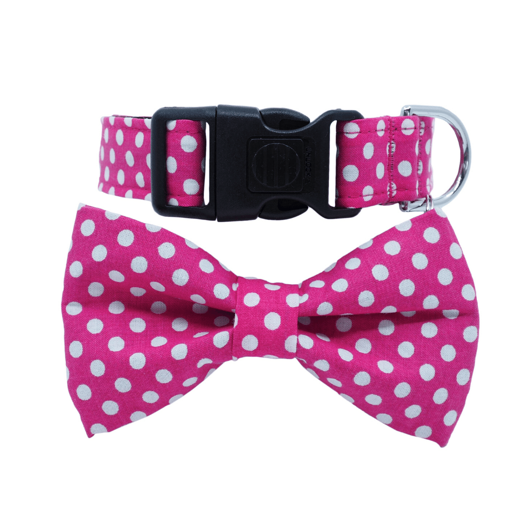 polka dot dog bow tie