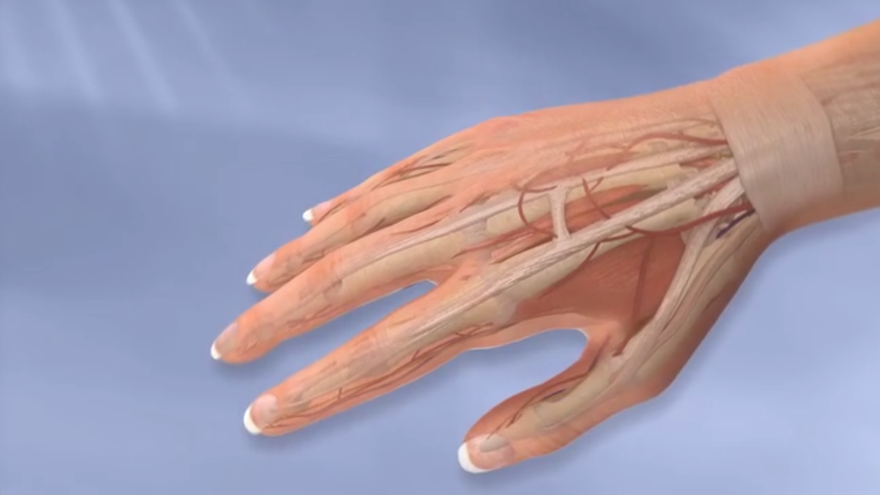 Hand and Wrist Procedures
