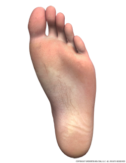 Foot Male Left Plantar Image – Understand.com