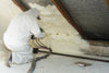 insulation foam spray insulating types fl rigs equipment different difference between milton materials near rockwool owens corning attic building way