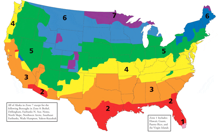 R-Value of Attic Insulation Based on Location