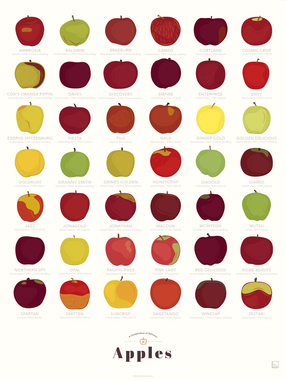 types of apple chart