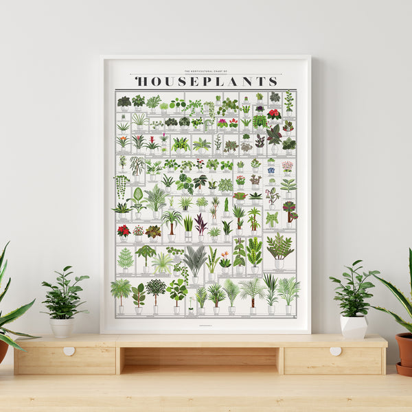 The Horticultural Chart of Houseplants – Pop Chart