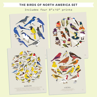 Birds of North America