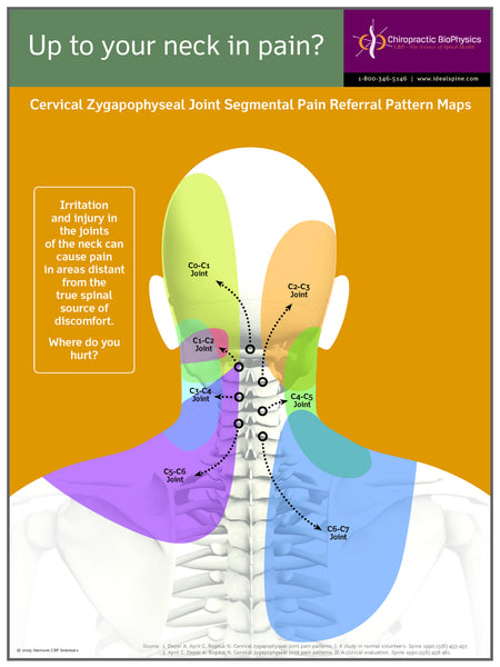 Neck Pain Sclerotome – Chiropractic BioPhysics