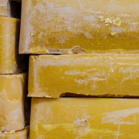 Is Beeswax Biodegradable? (And Compostable) - Conserve Energy Future