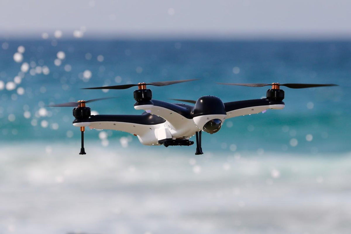 Drone Fishing - Gannet