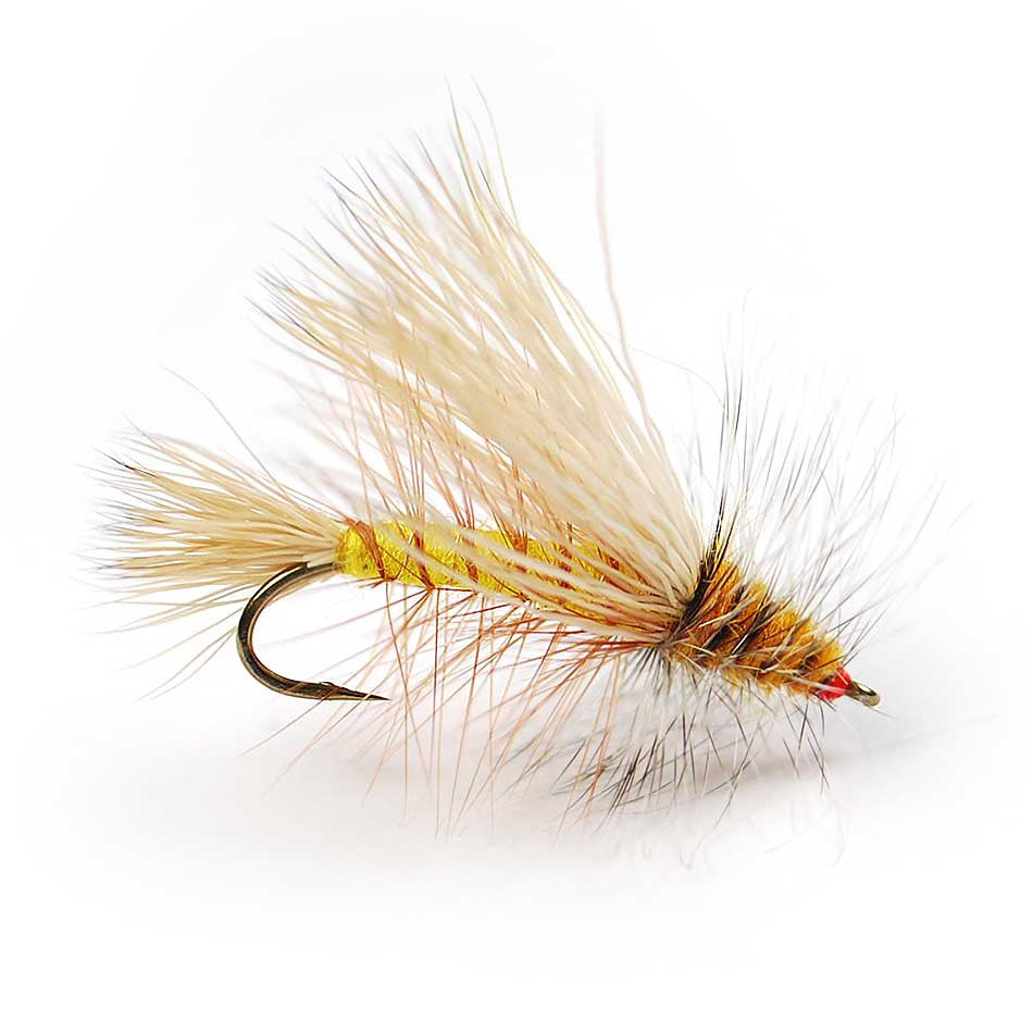 Attractor Dry Flies | Pacific Fly Fishers