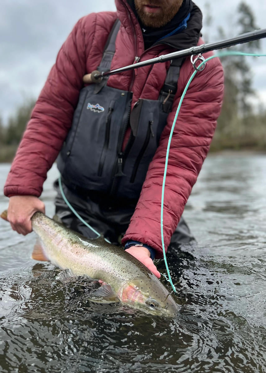 Clackamas River Summer Steelhead