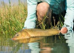 Carp Fly Fishing on Banks Lake, WA