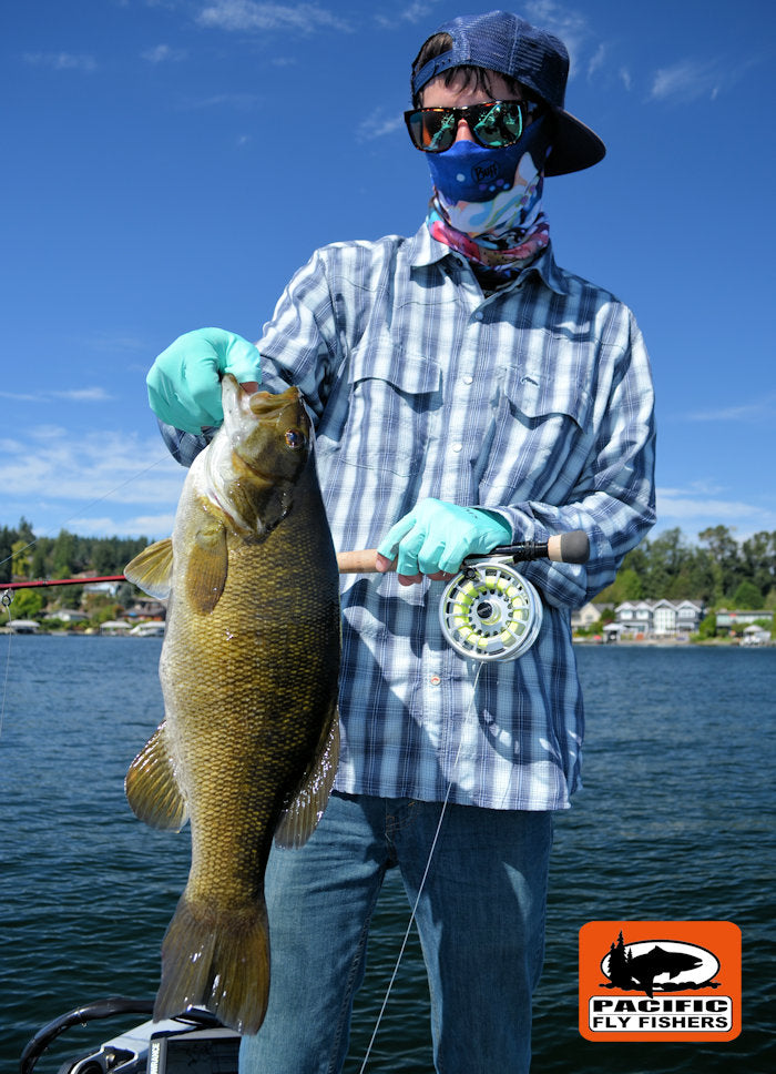 Lake Washington Smallmouth Bass Fly Fishing