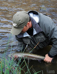 Mason Deschutes Steelhead