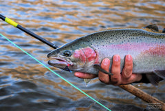 Chunker on the Deschutes