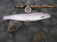 First hatchery fish of the year to the beach on the sky.