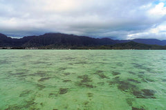 Duff’s custom flats boat is better suited to the not-so-typical flats fishing around the island of Oahu. The panga-style bow of Duff’s boat seems perfectly suited to crossing big bays and open water between flats.