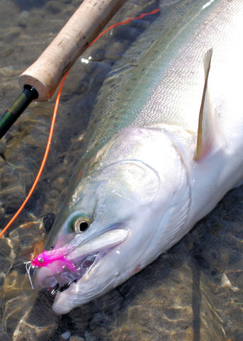 Pink Salmon Fly Fishing