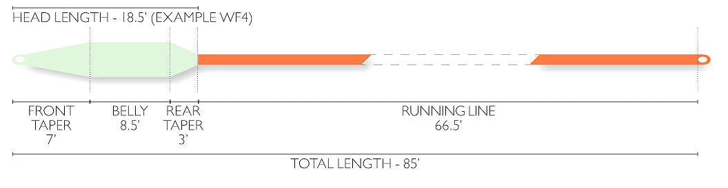 Skagit Head Fly Line 63 Off Newriversidehotel Com
