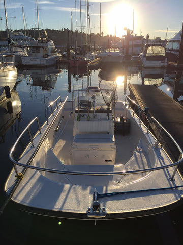 Boston Whaler 