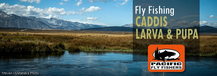 Fly fishing flies, caddis larva pupa