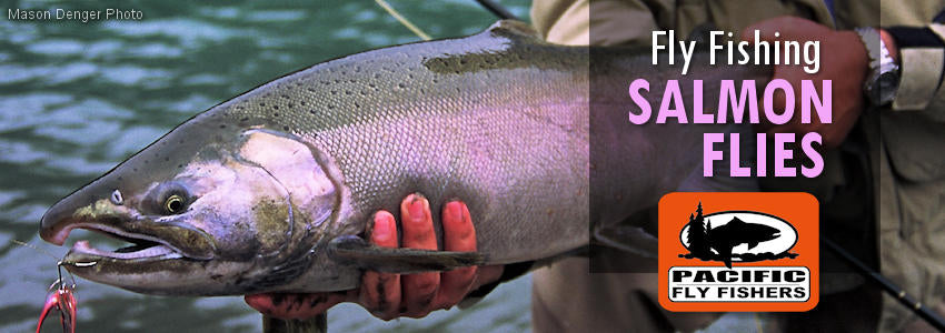 Saltwater Fly Fishing: for Pacific salmon