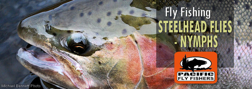 https://cdn.shopify.com/s/files/1/0211/7110/files/flies_steelhead-nymphs.jpg?73606275852716949