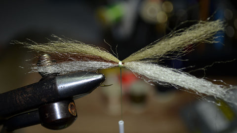 Tying the Pass Lake Minnow - Step 4