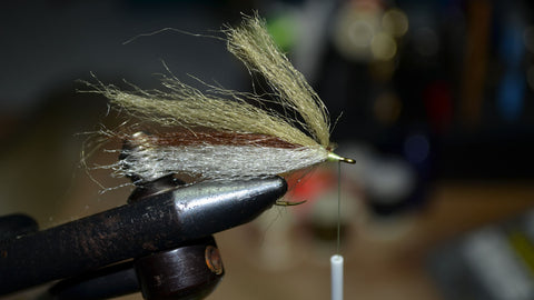 Tying Pacific Fly Fishers' Pass Lake Minnow