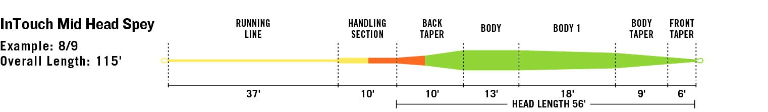 RIO InTouch Mid Head Spey line taper diagram