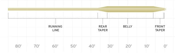 Scientific Anglers Frequency Series Boost Line Taper