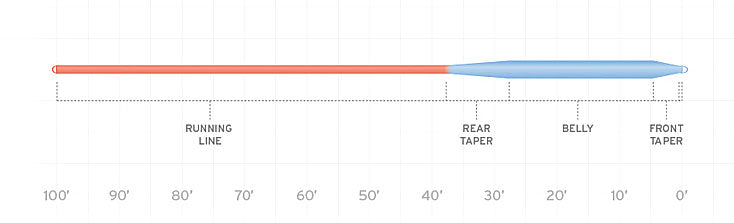 Scientific Anglers Mastery Series Saltwater Line Taper