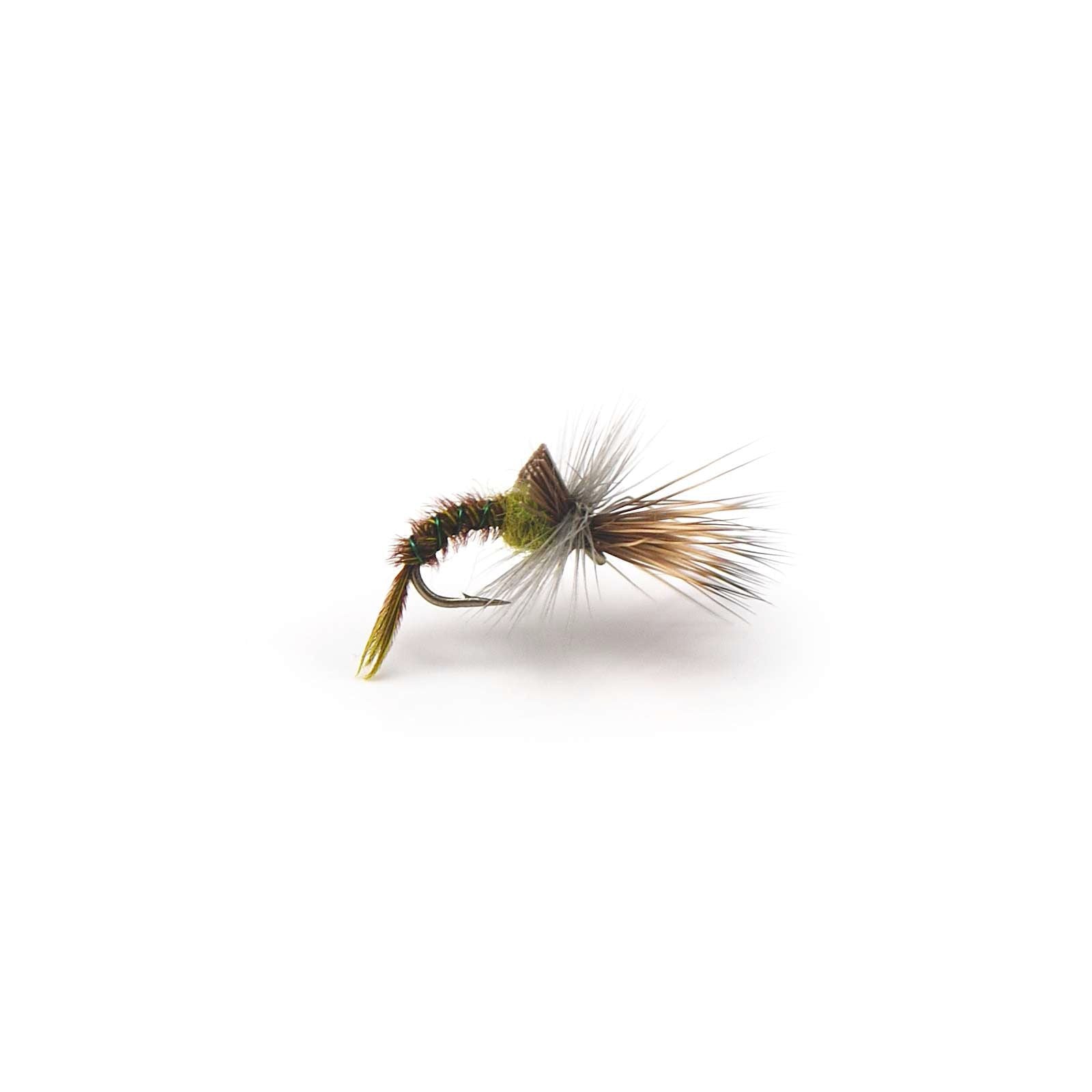 Baetis Challenged  Pacific Fly Fishers