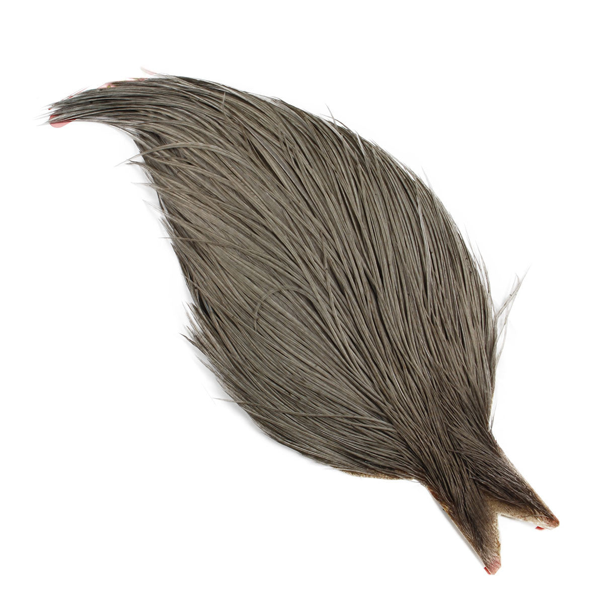 Dry Fly Hackle 