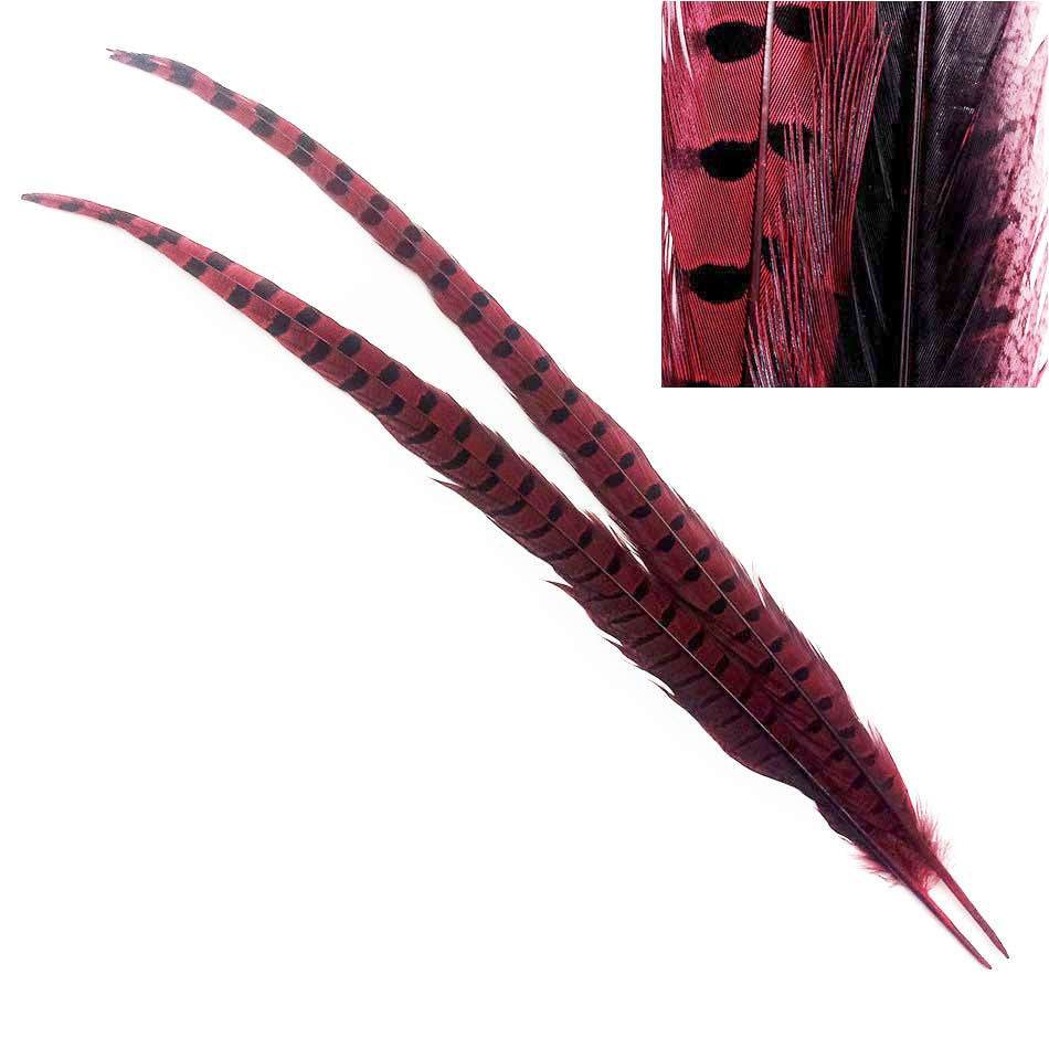 Hareline Dubbin Ringneck Pheasant Tail Feathers