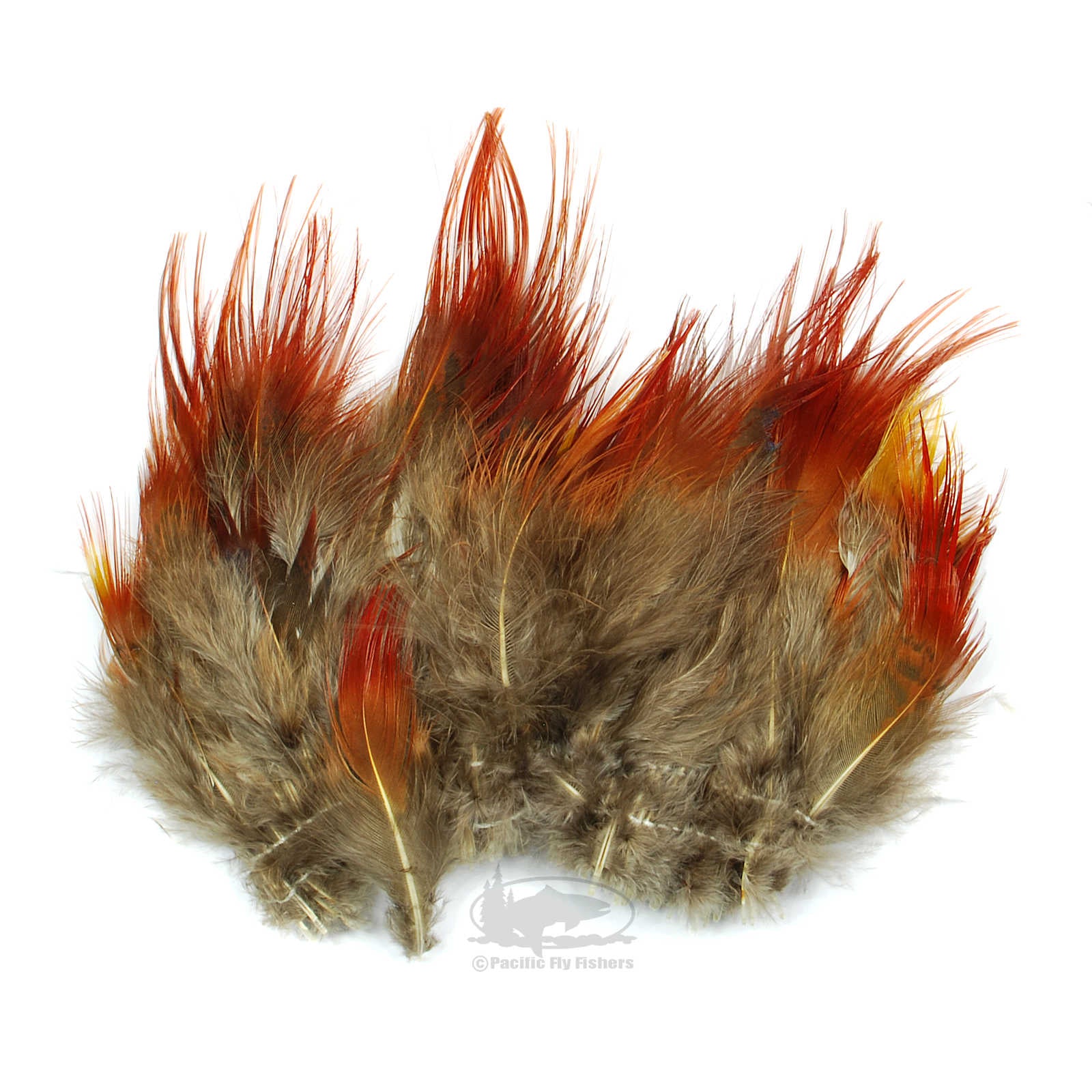 Golden Pheasant Body Feathers - Natural Red