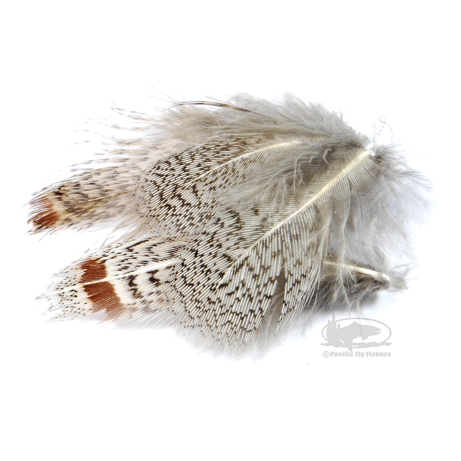 Hareline Fine Black Barred Marabou Feathers - Duck, Goose, Turkey, Hen,  Partridge