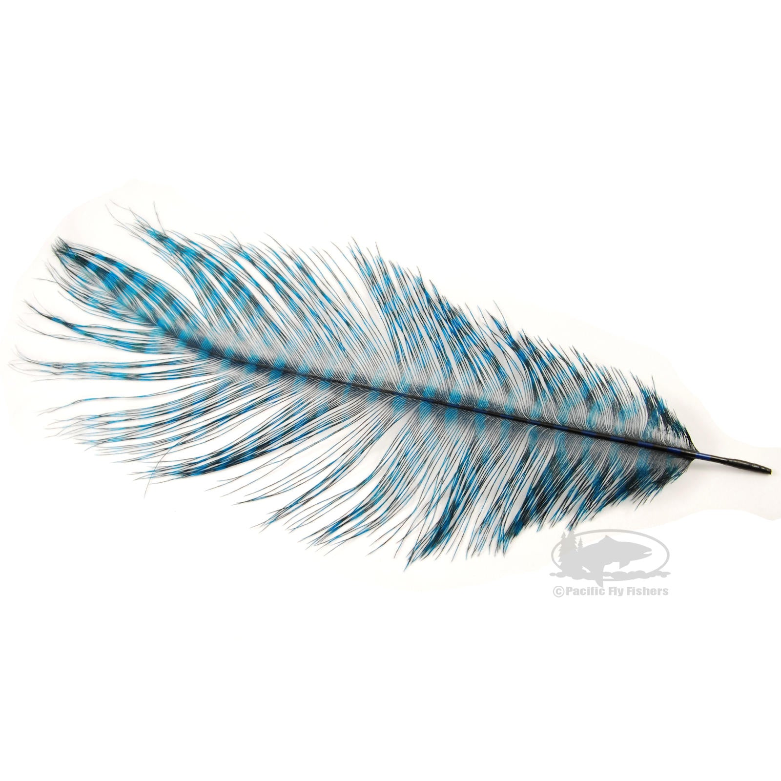 MFC Ostrich Plumes - Barred - Blue