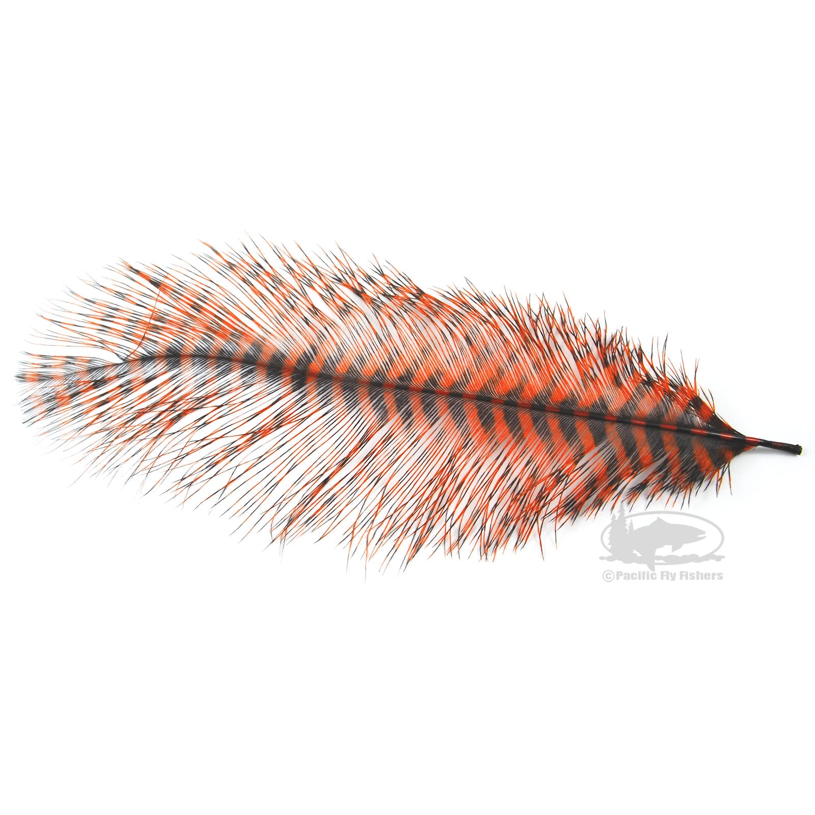 MFC Ostrich Plumes - Ashland Fly Shop