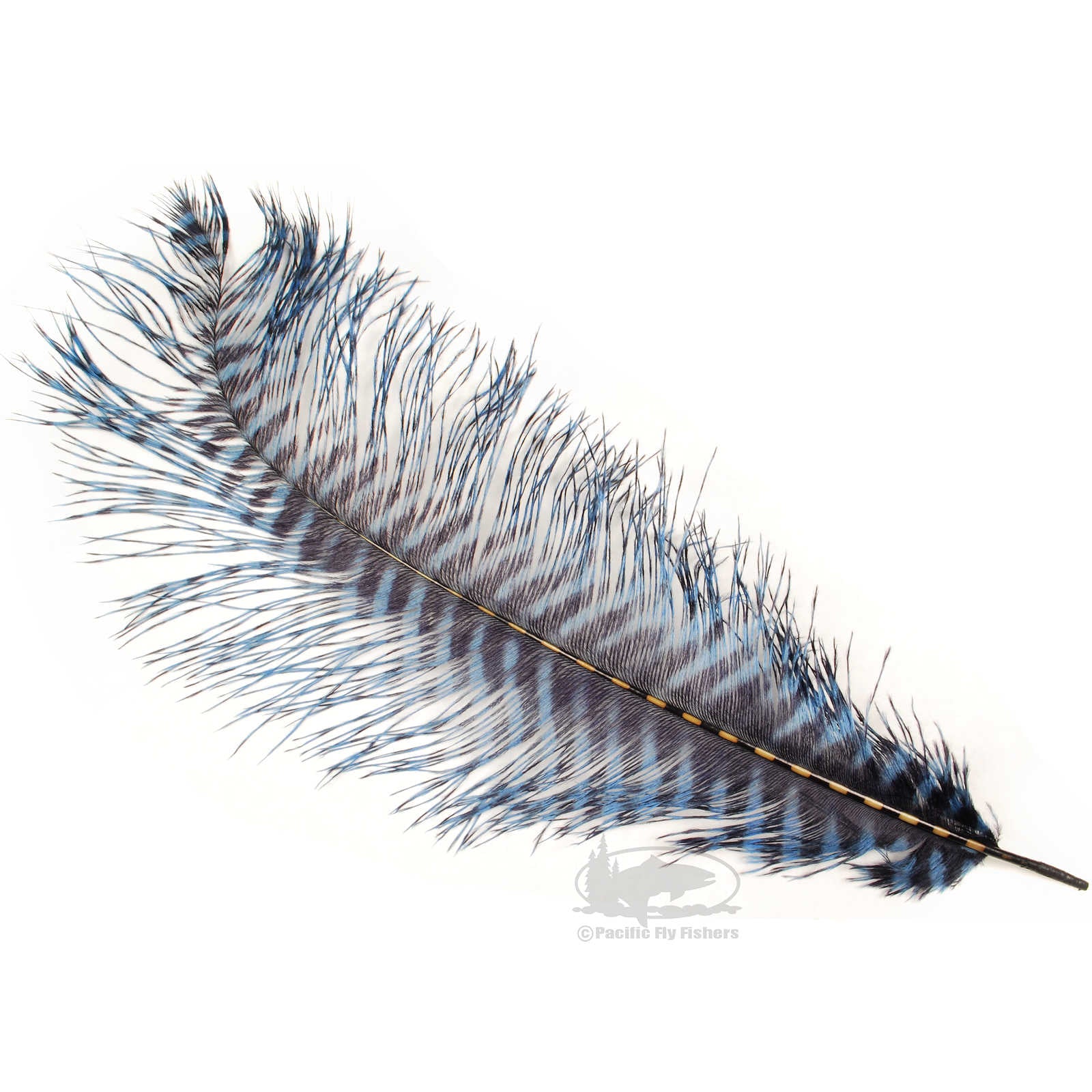 Feather Plumes