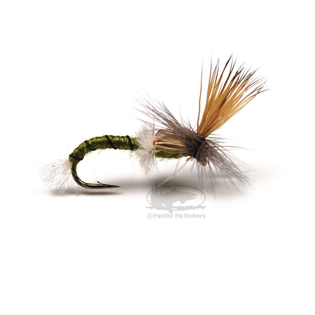 Para Midge Emerger - Olive