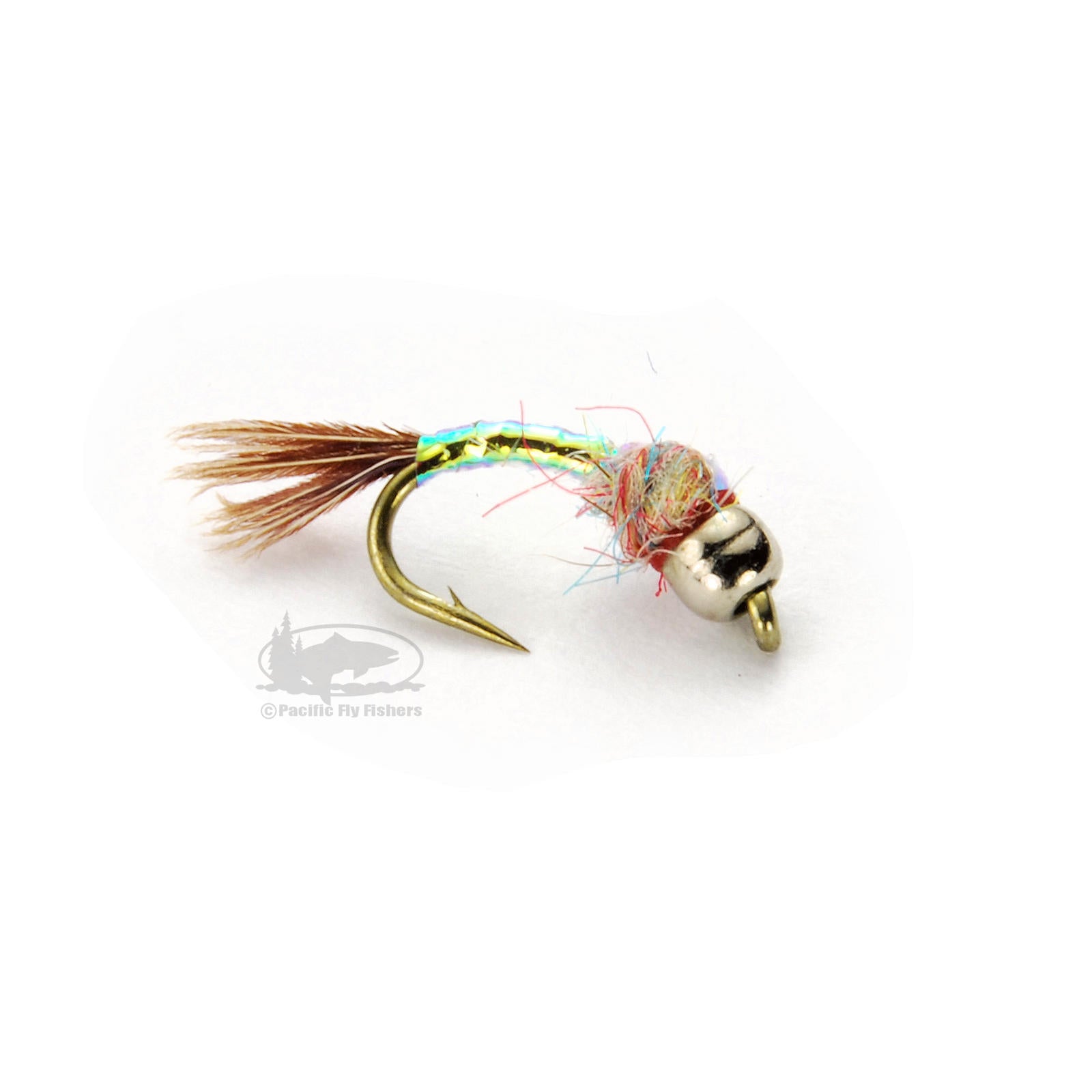  Region Fishing Tungsten Bead Rainbow Warrior Midge