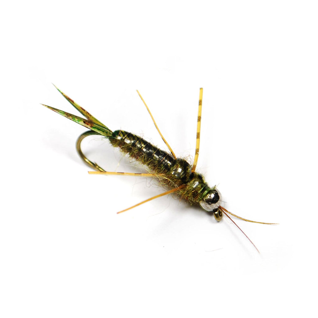 Evolution Stonefly - Fly tying instructions - Flymen Fishing Company