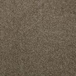 Shnier Carpet 50346 Suede - per SqFt Downy - Carpet