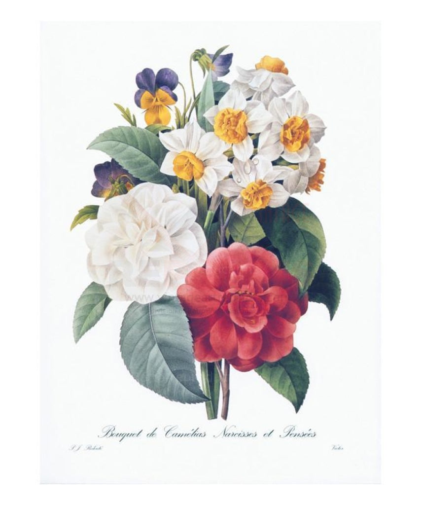 Bouquet de Camelias, Narcisses et Pensees – Retro-Reproductions, LLC.
