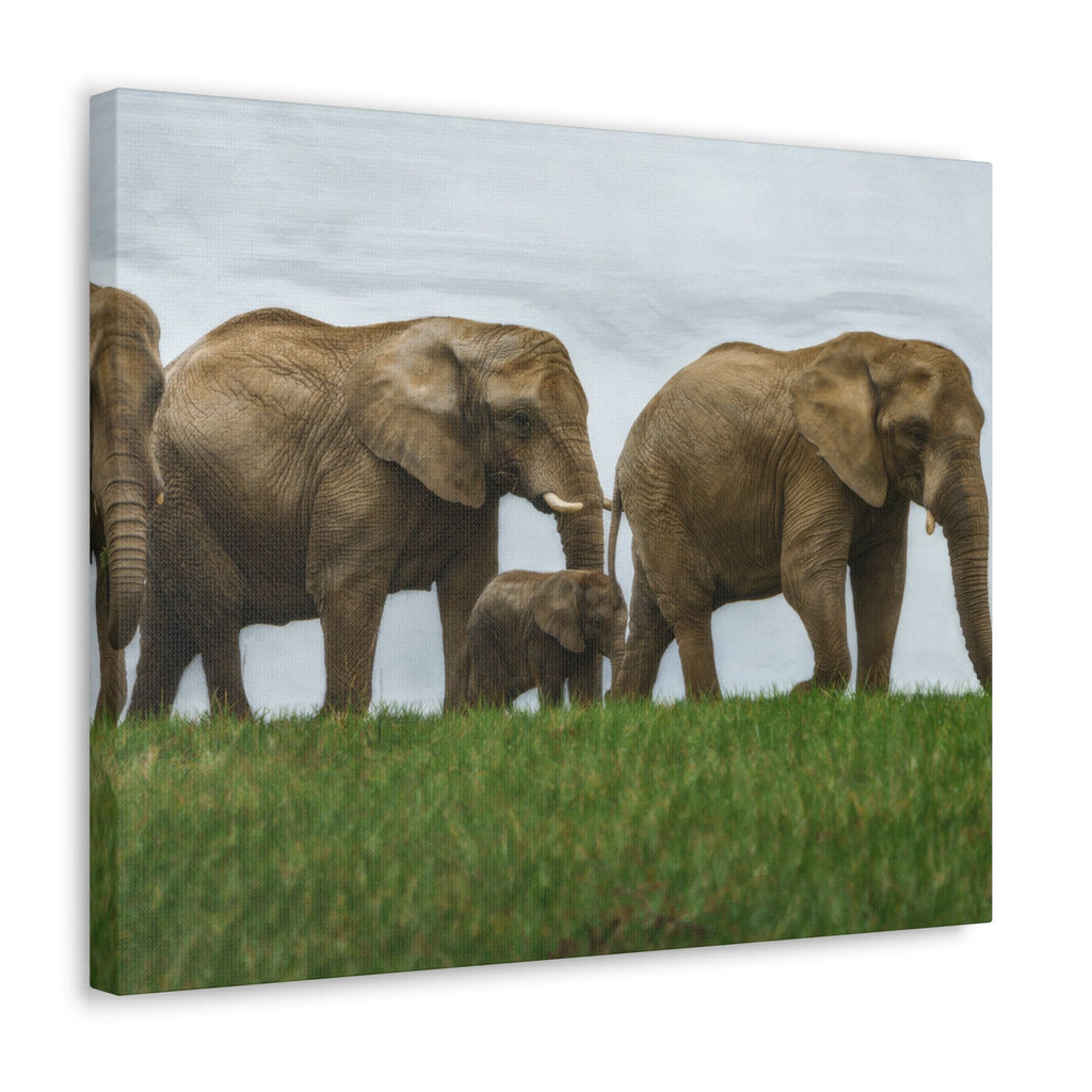 wall-art-decor-canvas-print-artwork-african-elephants-nature-safari-wildlife