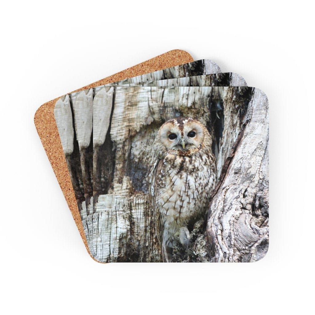 corkwood-coaster-4-piece-set-grey-owl-coasters