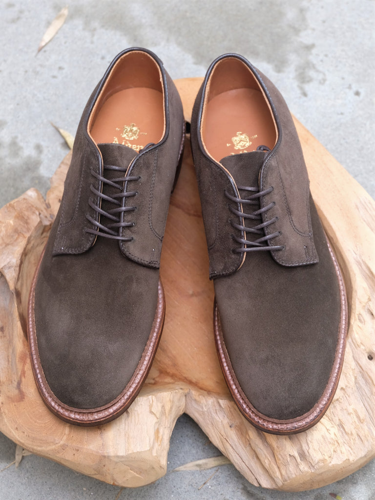 alden plain toe blucher suede