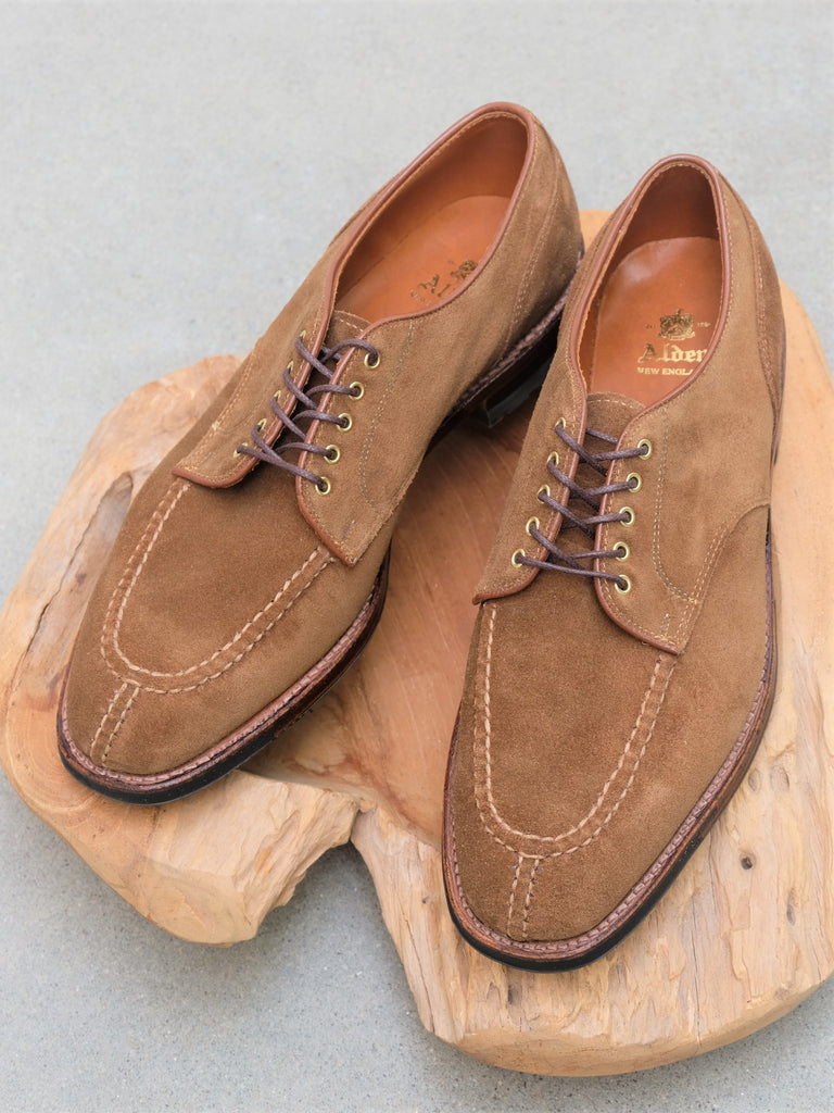 alden suede blucher