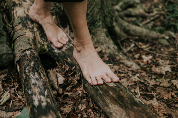 Yoga in the Forest