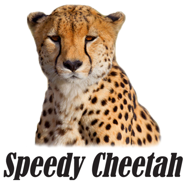 The Speedy Cheetah
